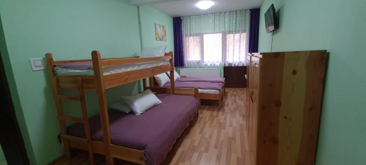 Pensiunea Aurora - Great Hostel Voineasa Eksteriør billede