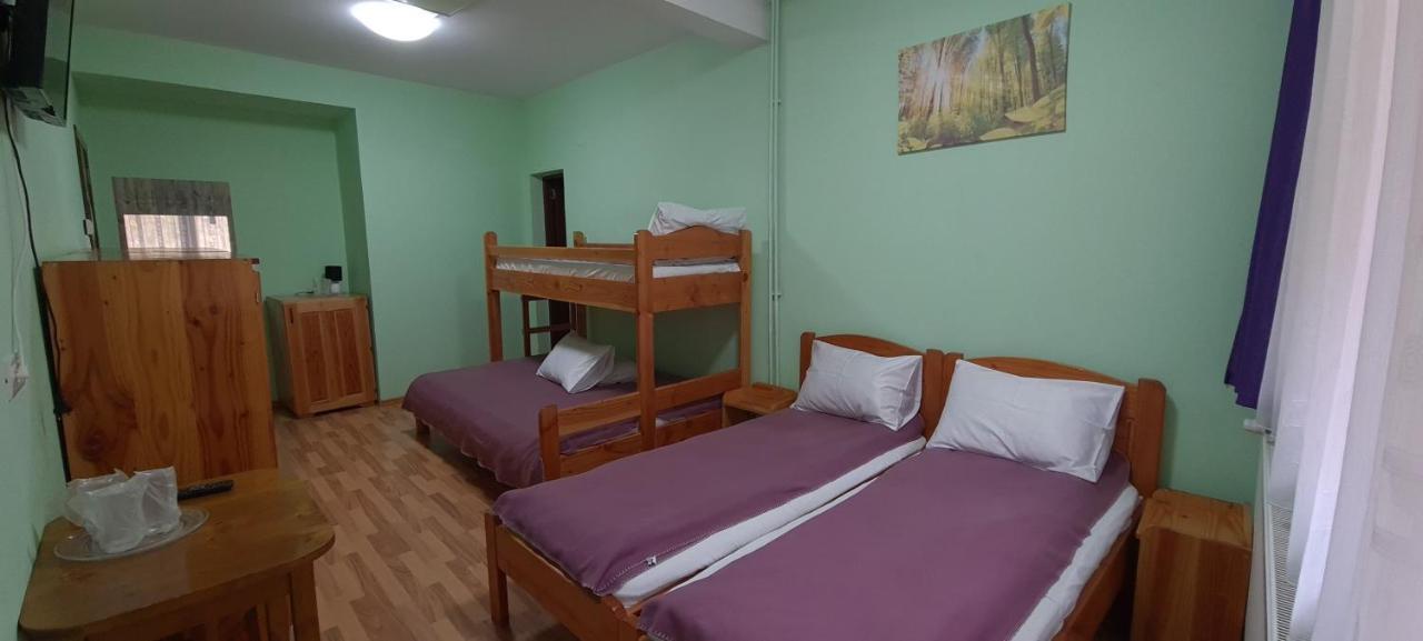 Pensiunea Aurora - Great Hostel Voineasa Eksteriør billede