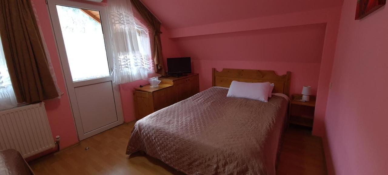Pensiunea Aurora - Great Hostel Voineasa Eksteriør billede