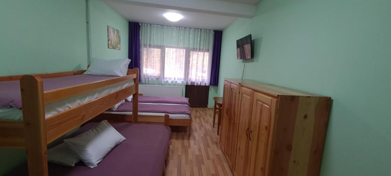 Pensiunea Aurora - Great Hostel Voineasa Eksteriør billede
