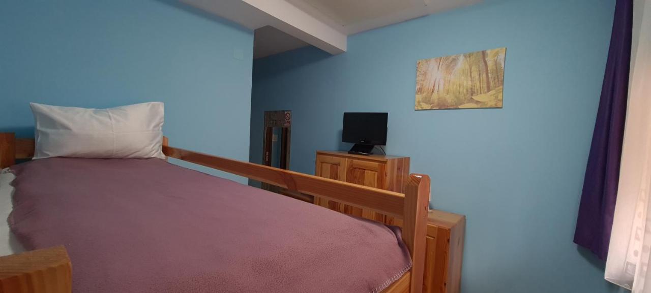 Pensiunea Aurora - Great Hostel Voineasa Eksteriør billede
